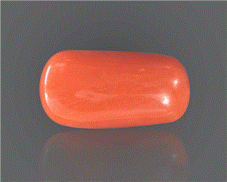 Natural Coral  7.1RTS-27351